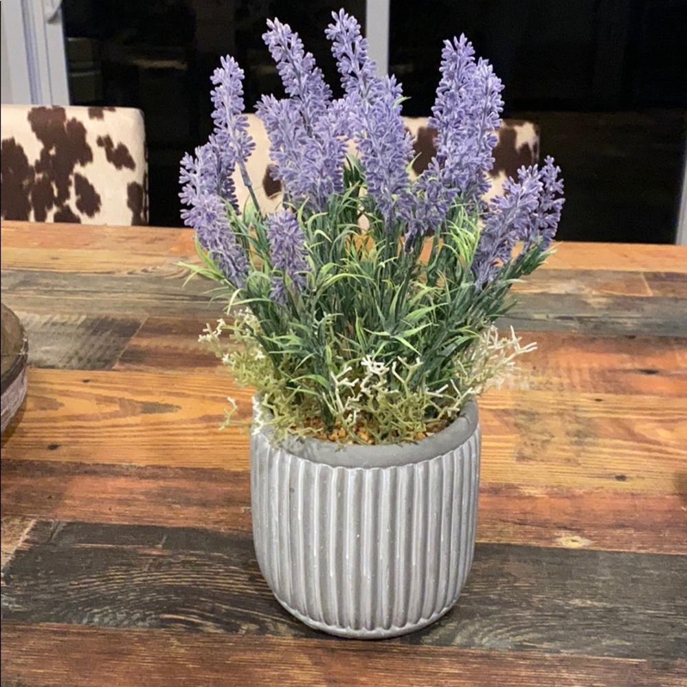 Fake Lavender Plant 🌱